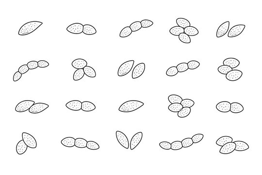 Bacterial pneumonia pathogen icon set; illustration isolated on a white background.
