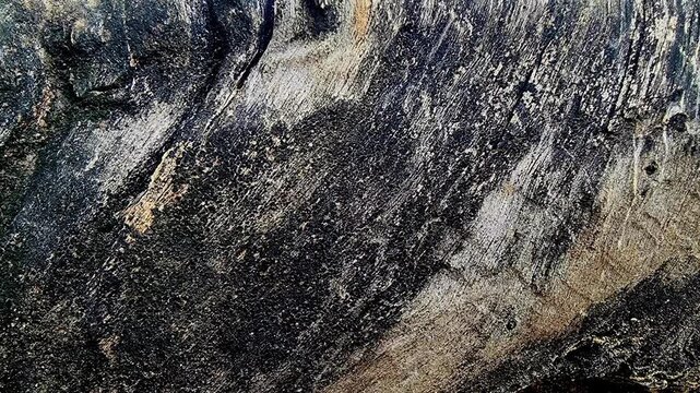 Charred teak stump texture panning horizontally for dark website hero background shot in 4K slow motion loop