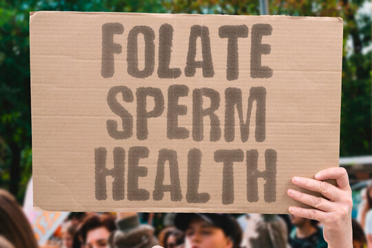 "Folate sperm health" Folic acid reduces sperm abnormalities. FOLATE. SPERM. ABNORMALITY. REDUCE. VITAMIN.