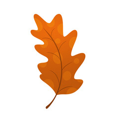 Fototapeta premium Orange Autumn Oak Leaf Vector