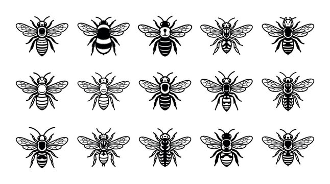 Bee species vector icons with honeybee, bumblebee and carpenter bee for presentation design in silhouette style