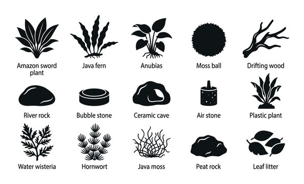 Aquatic plants vector icons with moss ball, Anubias and driftwood for infographic design in silhouette style