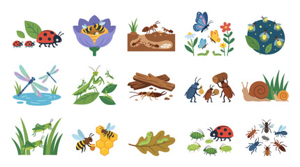 Obraz premium Flat Vector Illustration Set of Various Insects and Bugs in Nature and Biology, Educational Collection