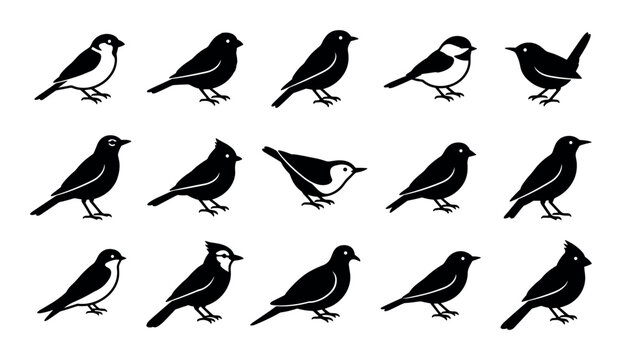 Wild birds vector icons with sparrows, bluebirds and wrens for presentation design in silhouette style