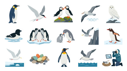 Obraz premium Polar Wildlife Birds Flat Vector Illustration Set: Penguins, Puffins, Gulls, Albatross, Snowy Owl Arctic Animals