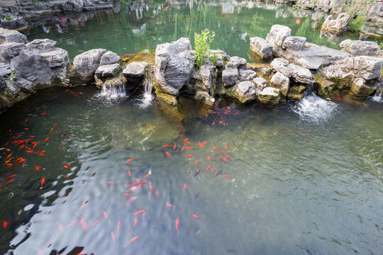 Red koi fish swim in a pond with small waterfalls flowing over rock formations in a garden setting.