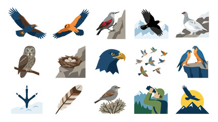 Obraz premium Ornithology Flat Design Vector Illustration Set: Diverse Wild Birds, Bird Watching, Nests, and Feathers