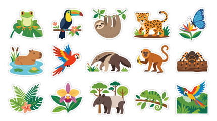 Fototapeta premium Cute Flat Cartoon Vector Illustration of Rainforest Animals and Tropical Plants. Wildlife and Jungle Fauna Flora Collection.