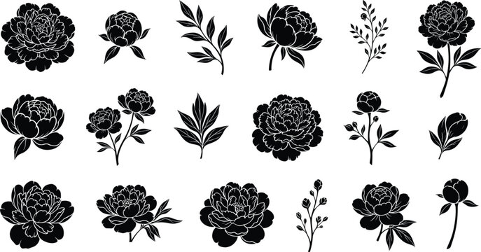 Peony flower and leaves silhouette vector icon set, elegant botanical floral elements illustration