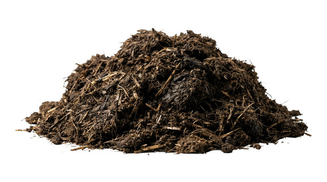 Pile of organic compost fertilizer isolated on white background.