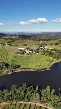 Aerial Drone Shot of Lush Vineyards, Farmland and Dam in Western Cape, South Africa, Vertical