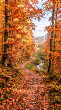 Camino cubierto de hojas secas que serpentea por un bosque resplandeciente en tonos naranja, amarillo y rojo durante el oto&ntilde;o.