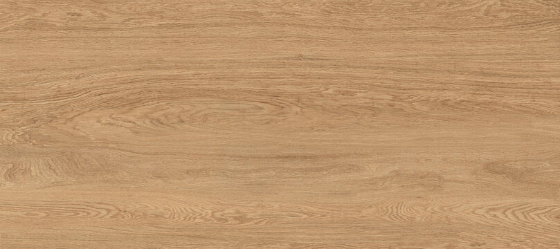 Oak wood texture, wooden panel background