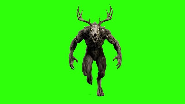 A frightening 3D Wendigo monster with large deer antlers and an animal skull head running forward towards the viewer, isolated against a bright chroma key green screen background. Great for folklore d