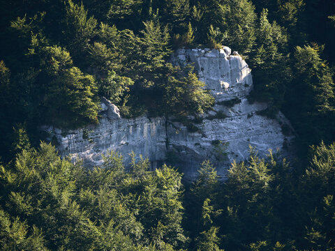 Parco Nazionale della Maiella: La faggeta si prepara all'autunno - Abruzzo