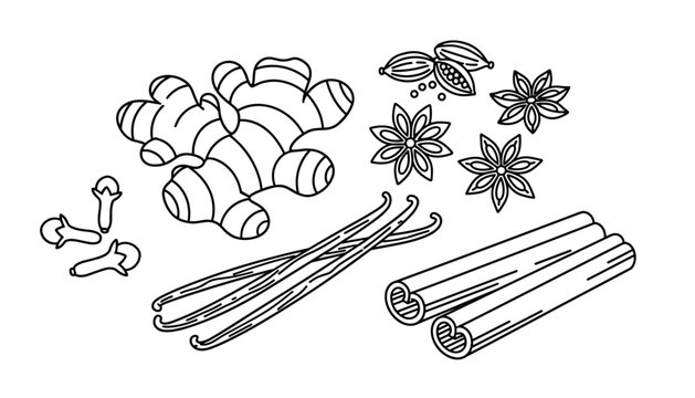 Detailed line art drawing of aromatic winter spices including ginger root, cinnamon sticks, vanilla pods, and star anise.