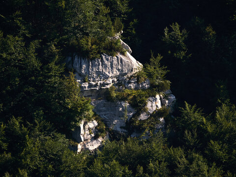 Parco Nazionale della Maiella: La faggeta si prepara all'autunno - Abruzzo