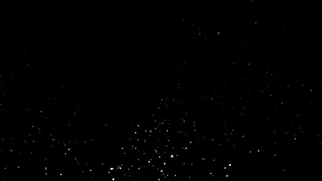 Black void filled with twinkling white specks. Stars drift gently across the deep, dark expanse. Perfect for cosmic themes or night sky visuals. No living beings or textures disturb the serene scene