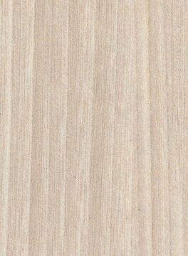Light beige wood texture background. Natural wooden pattern surface