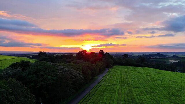 Kericho, Kenya - 26 August 2026: Aerial view of tea plantations at sunset with vibrant sky and lush green fields.