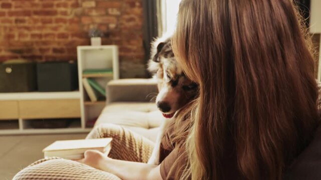 Australian Shepherd cuddles with woman reading book on sofa at home. Concept of pet companionship, quiet leisure, home lifestyle, and emotional bonding.