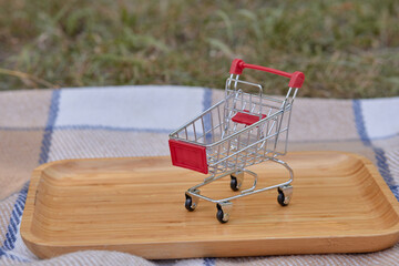 Miniature shopping cart on wooden tray with checkered fabric background © Svitlofor