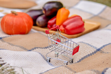 Mini shopping cart on picnic blanket with fresh vegetables and pumpkin © Svitlofor