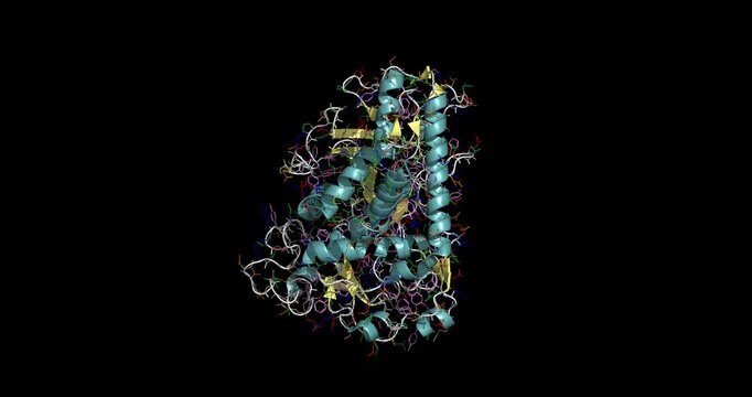 Catalytic domain of botulinum neurotoxin serotype A (Botox) that blocks neurotransmitter release and causes muscle relaxation, 3D molecule 4k spinning