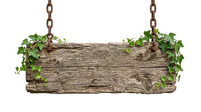Rustic wooden sign hanging on metal chains with green ivy