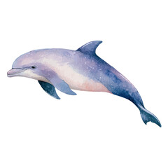 Obraz premium watercolor of Porpoise, vector, isolated on a white background.