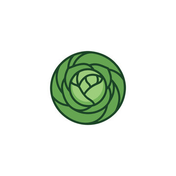 Stylized circular cabbage vector illustration with bold flat green lines