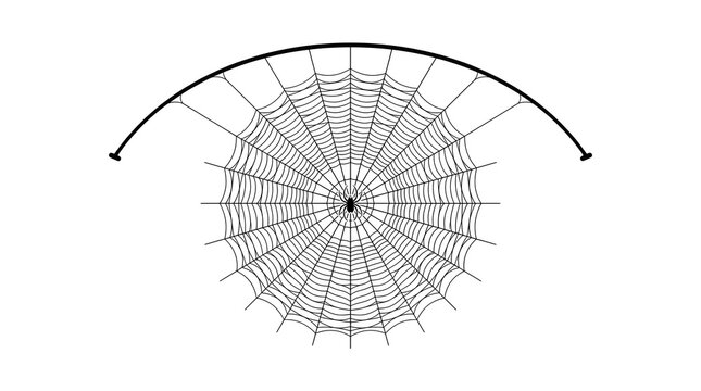 Detailed spider web illustration featuring a central insect trap with elegant symmetrical lines against a clean white background for creative design projects and halloween art