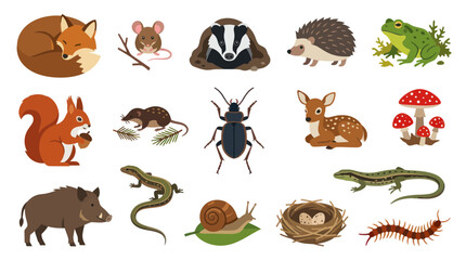 Obraz premium Flat Design Vector Forest Animals and Wildlife Set - Cute Woodland Creatures for Nature Education