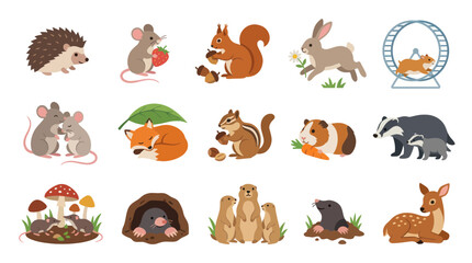 Fototapeta premium Collection of Cute Small Mammals and Forest Animals Flat Cartoon Illustrations for Nature and Wildlife Designs
