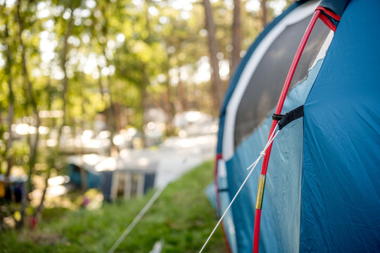 Blue tent set up during a sunny morning in the forest