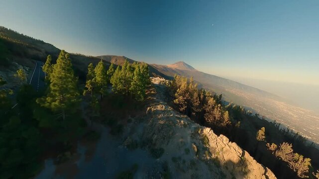 FPV aerial view of Mount Teide and a winding road through the pine forest in Santa Cruz de Tenerife, Canary Islands, Spain.