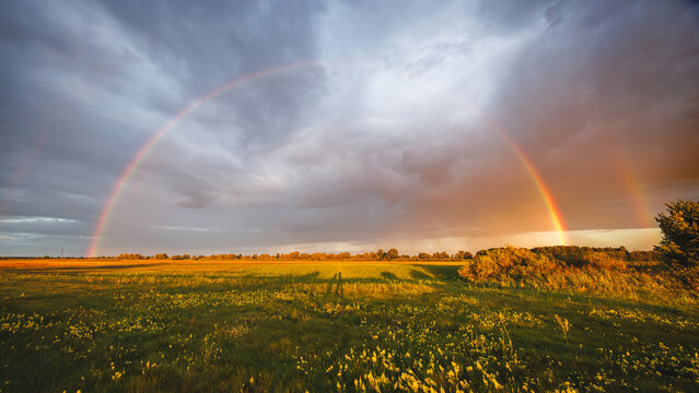 Full double rainbow arcing over a wide green field with yellow wildflowers under a dramatic dark sky.