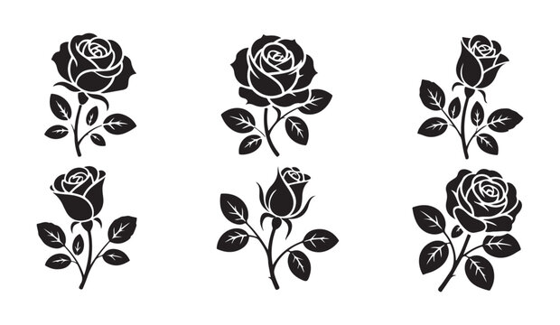 Detailed black rose stencil graphics with thorns and leaves set for t shirt prints and gothic emblems.