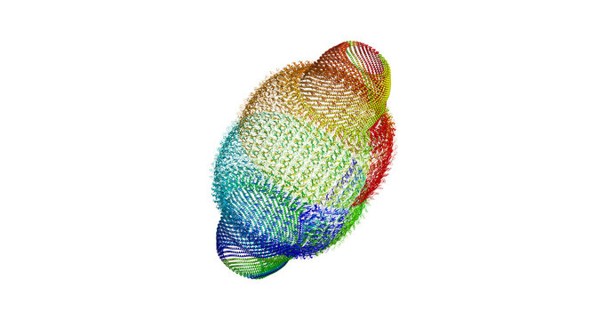 Human vault cage, massive ribonucleoprotein barrel-shaped macromolecular assembly involved in intracellular transport and cell signaling, 3D molecule 4K