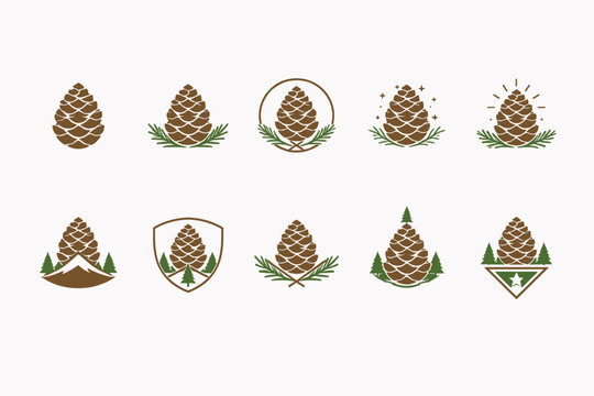 Collection of pine cone logos and icons with natural elements