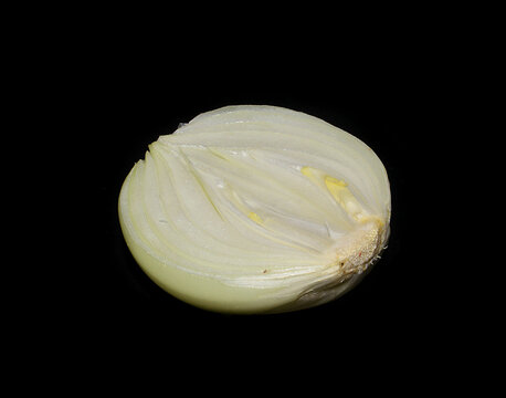 onion isolated on black background