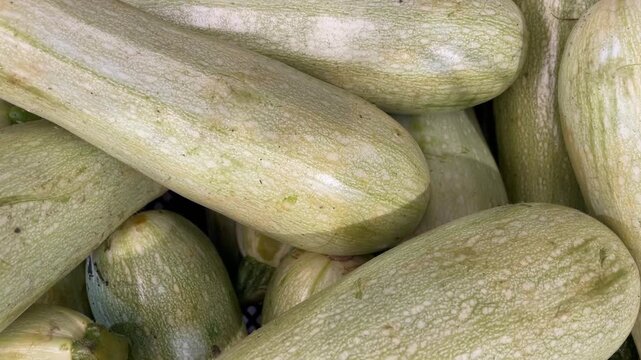 Fresh light green zucchinis piled together, showcasing texture and organic vegetable background