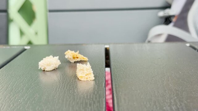 Small pieces of bread crumbs lie scattered on a dark wooden table outdoors. This simple scene evokes a calm, quiet feeling of peaceful isolation and everyday realism.