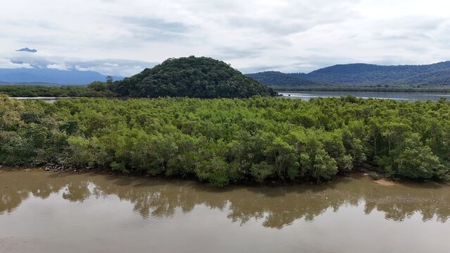 Mangue - Antonina-PR
