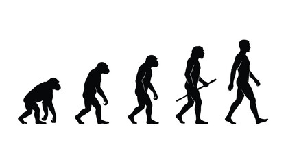 Obraz premium Human evolution silhouette vector illustration chart showing the biological progress from primitive ape ancestor to modern upright walking man