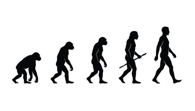 Human evolution silhouette vector illustration chart showing the biological progress from primitive ape ancestor to modern upright walking man