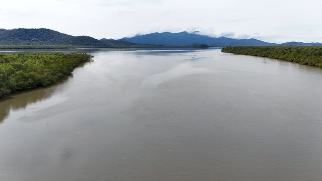 Mangue - Antonina-PR
