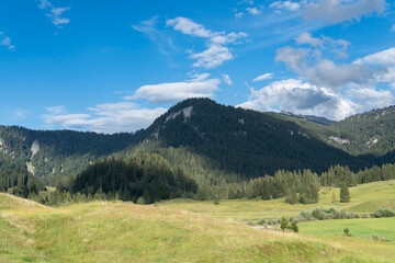 Fototapeta premium Scenic alpine landscape featuring lush green meadows, dense evergreen forests, and majestic rocky mountain peaks bathed in sunlight and soft shadow in the Bregenzerwald region of Vorarlberg, Austria