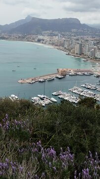 Calpe town in Costa Blanca, Spain. View of marina from Penyal d'Ifac Natural Park.