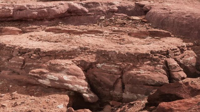 A rover explores the rocky surface of Mars during a mission. The terrain shows soil and rocks of various sizes. This scene highlights the dry and dusty environment of the planet.